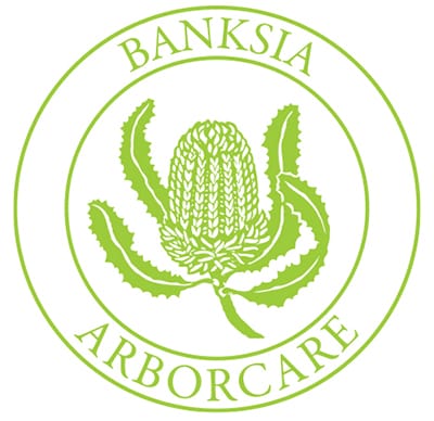Banksia Arborcare