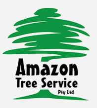 Amazon Tree Service