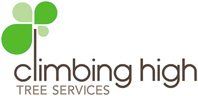 Climbing High